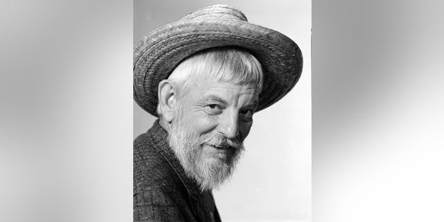 Denver Pyle starred as Buck Webb on ‘The Doris Day Show.’