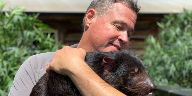 Biologist and wildlife conservationist Jeff Corwin holds a Tasmanian Devil at the Trowunna Wildlife Sanctuary in Tasmania.