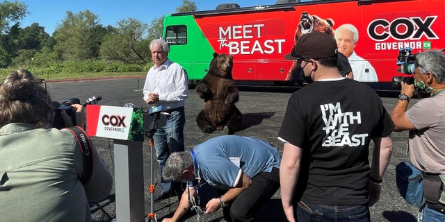 Republican recall candidate John Cox teams up with 1,000 pound California grizzly bear as he kicks off "Meet the Beast" bus tour, in Sacramento, California on May 4, 2021.