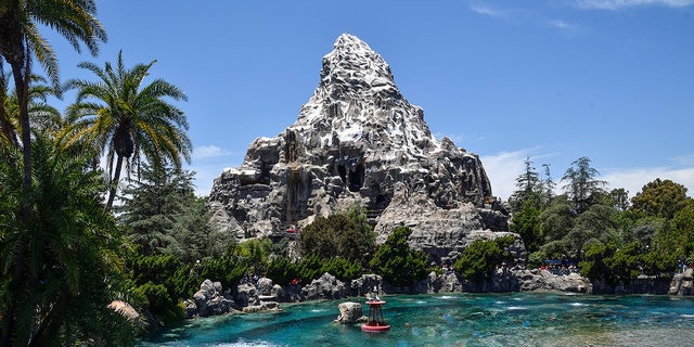  The Matterhorn Bobsleds at Disneyland in Anaheim, CA.  (Photo by Jeff Gritchen/Digital First Media/Orange County Register via Getty Images)