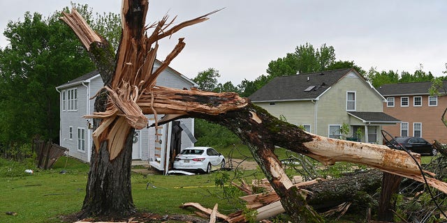 A downed tree and damaged homes are seen along Elvis Presley Drive in Tupelo, Miss., Monday, May 3, 2021. Multiple tornadoes were reported across Mississippi on Sunday, causing some damage but no immediate word of injuries. (AP Photo/Thomas Graning)