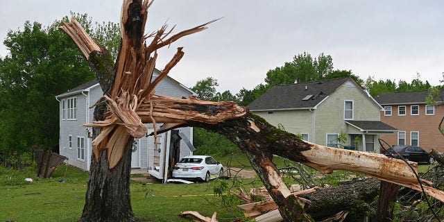 A downed tree and damaged homes are seen along Elvis Presley Drive in Tupelo, Miss., Monday, May 3, 2021. Multiple tornadoes were reported across Mississippi on Sunday, causing some damage but no immediate word of injuries. (AP Photo/Thomas Graning)