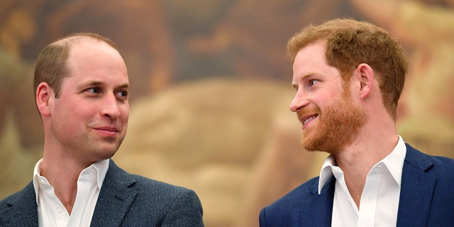The two princes, seen here in 2018, were previously quite close.