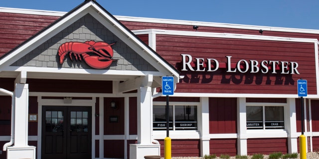 Red Lobster launched new sweepstakes this week in search of a "Chief Biscuit Officer" to celebrate National Biscuit Day on Friday.