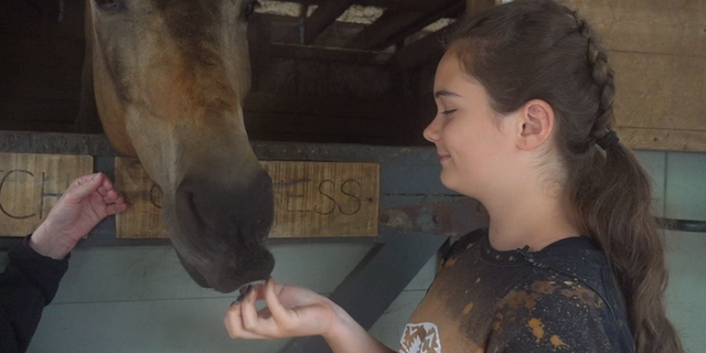 Daliah Roberts pets a horse at Fusion Stables summer camps. (Fox News)