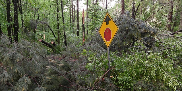 Downed trees cover Oakview Drive in Tupelo, Miss., Monday, May 3, 2021. A line of severe storms rolled through the state Sunday afternoon and into the nighttime hours. (AP Photo/Thomas Graning)