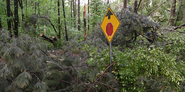 Downed trees cover Oakview Drive in Tupelo, Miss., Monday, May 3, 2021. A line of severe storms rolled through the state Sunday afternoon and into the nighttime hours. (AP Photo/Thomas Graning)