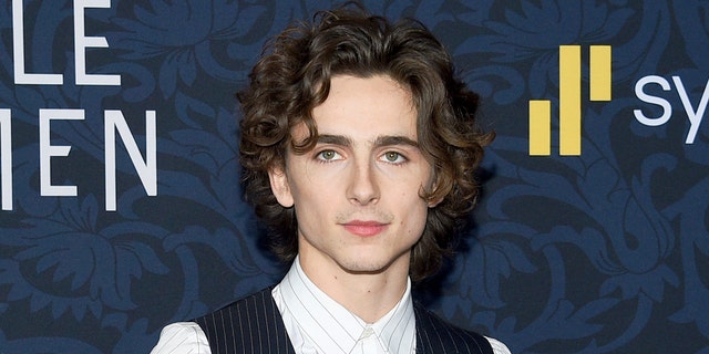  Actor Timothee Chalamet and Hammer are close friends after starring together in the 2017 film "Call Me by Your Name."