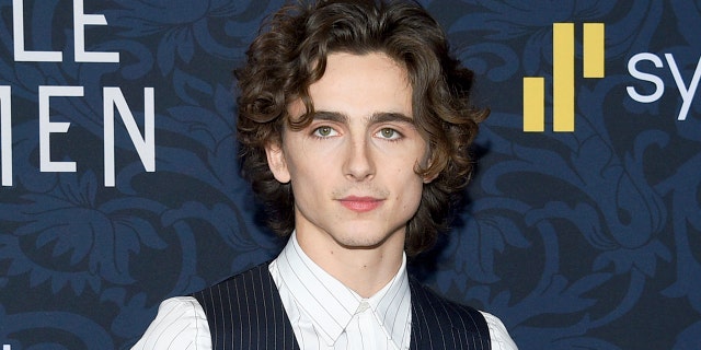  Actor Timothee Chalamet and Hammer are close friends after starring together in the 2017 film "Call Me by Your Name."