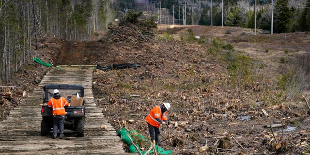 FILE - In this April 26, 2021 file photo, workers for Northern Clearing pound stakes to mark land on an existing Central Maine Power power line corridor that has been recently widened to make way for new utility poles, near Bingham, Maine. 