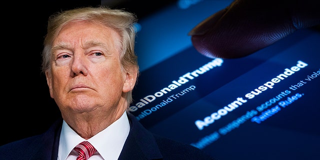Elon Musk could restore Donald Trump's Twitter account if he takes over the platform. (Photo by Florian Gaertner/Photothek via Getty Images)