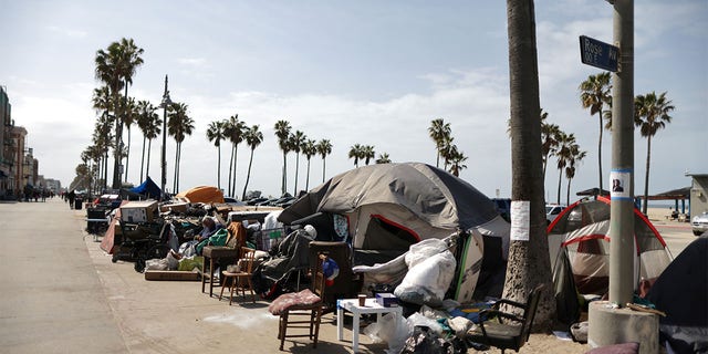 Homeless encampments line the boardwalk on Venice Beach in Los Angeles. Residents and business owners have said the encampments have led to an uptick in crime and other quality of life issues. (Reuters/Lucy Nicholson)