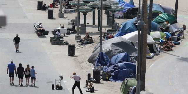 Homeless encampments line the bike path, as the coronavirus disease (COVID-19) disease pandemic continues, on Venice Beach in Los Angeles, California, U.S., April 14.