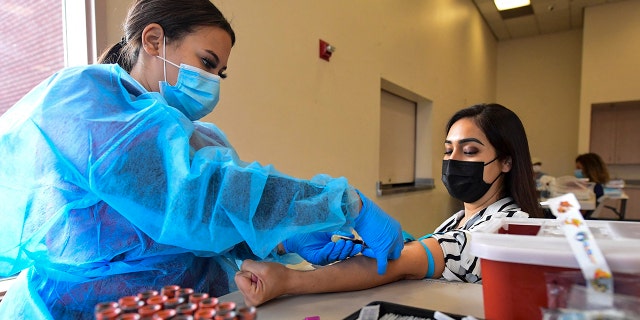 Phlebotomist Briana Green draws blood from Maritza Nieves during the new FDA emergency use and authorized IgG ll Antibody Test for vaccinated people, offered free of charge in Santa Fe Springs, California, on April 21, 2021. (FREDERIC J. BROWN/AFP via Getty Images)