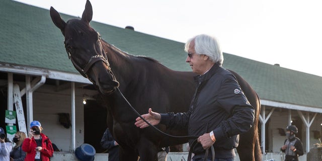 Bob Baffert brought Kentucky Derby winner Medina Spirit out for fans to see on the morning after the race. Medina Spirit is Baffert's seventh Kentucky Derby winner. May 2, 2021