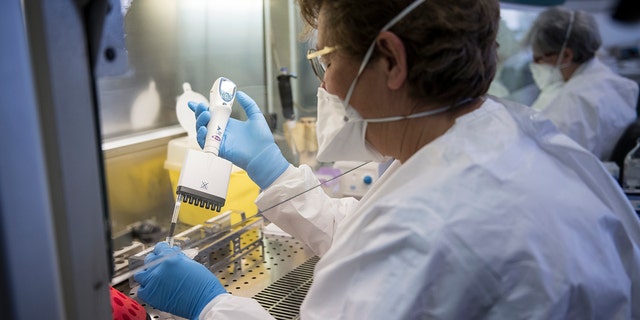 Los trabajadores de la salud trabajan preparando hisopos de evaluación para coronavirus en un laboratorio de investigación.