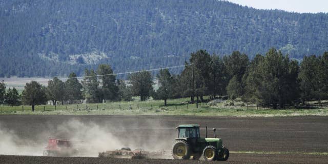 In this April 8, 2015, file photo, a tractor works a parcel of farm land in the Klamath Basin near Klamath Falls, Ore. A severe drought is creating a water crisis not seen in more than a century for farmers, tribes and federally protected fish along the Oregon-California border. The U.S. Bureau of Reclamation says it won't release water into the main canal that feeds the massive Klamath Project irrigation system for the first time in 114 years, leaving many farmers and ranchers with no water at all. (Dave Martinez/The Herald And News via AP, File)