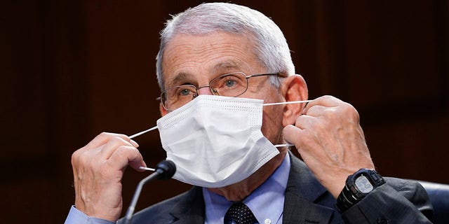 Dr. Anthony Fauci, director of the National Institute of Allergy and Infectious Diseases, adjusts a face mask during a Senate Health, Education, Labor and Pensions Committee hearing on the federal coronavirus response on Capitol Hill on March 18, 2021 in Washington, DC. (Photo by Susan Walsh-Pool/Getty Images)