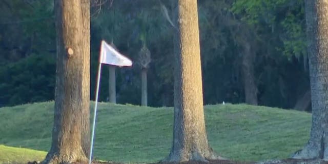 It seems like the least likely place to bury Jimmy Hoffa: under a hole at an exclusive golf course of a venerable Southern resort in Savannah, Georgia.