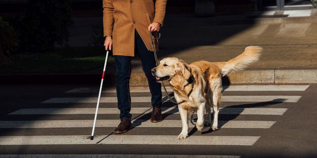 Scientists are making dramatic strides toward a goal that once seemed almost unimaginable: Restoring limited vision to people affected by a previously irreversible form of blindness caused by an inherited eye disease called retinitis pigmentosa. (iStock)