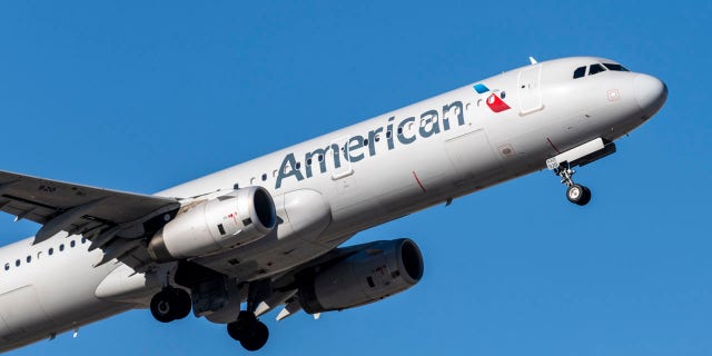 Según informes, a passenger on an American Airlines flight struck one of the flight attendants multiples times midway through the flight on Sunday.