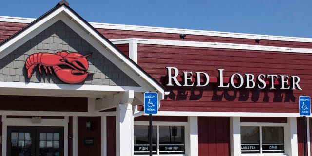 Download Red Lobster Shares Biscuit Corsage Boutonniere Video For Prom Goers Fox News
