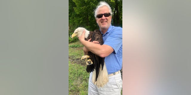 Tom Fear helped rescue a bald eagle by the side of the road.