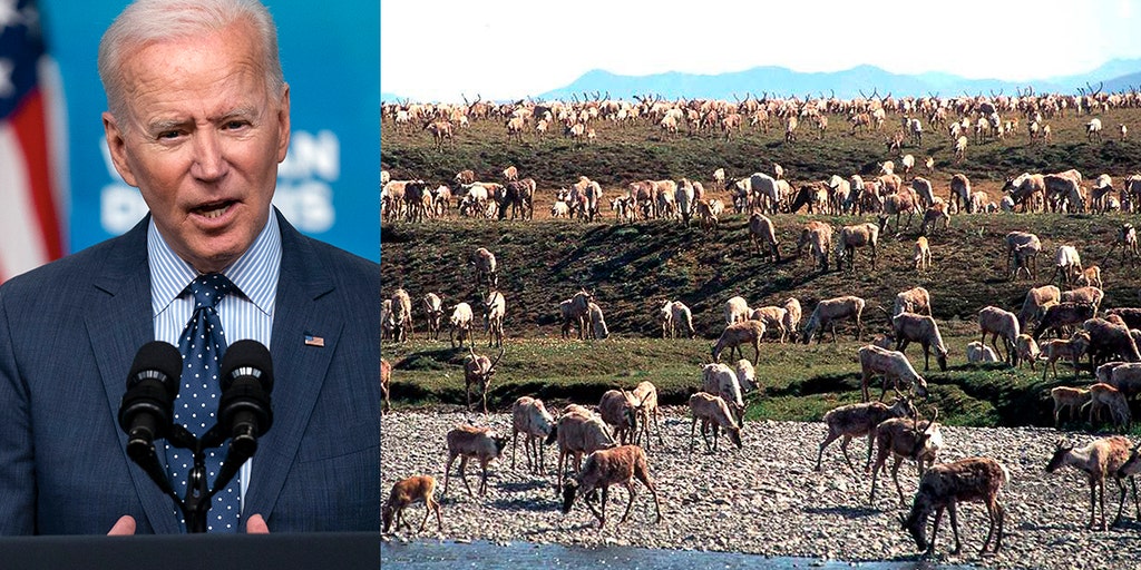Biden blasted for suspending oil-drilling leases in Alaska: 'Political football' - Vimarsana News