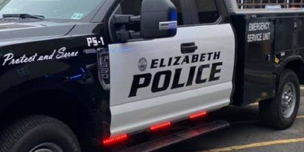 New Jersey boy boy mauled to death by family dogs after
falling from window, police say