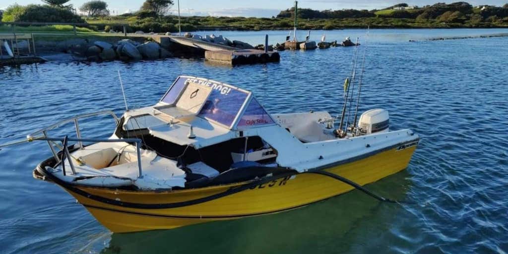 Teen in coma after being crushed by whale in freak
accident
