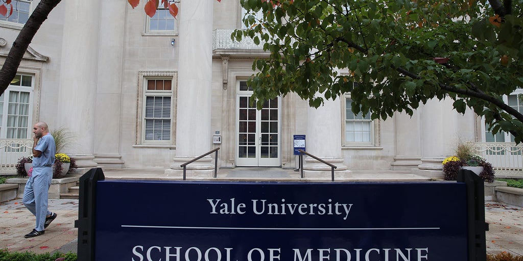 Former Yale employee admits to stealing $40 million from Ivy League university in secret scheme - Vimarsana News
