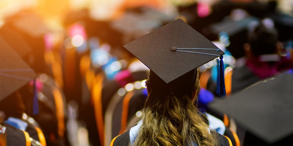 'Racists Anonymous' is just one of the insane ways University of Florida has been conquered by DEI - Vimarsana News