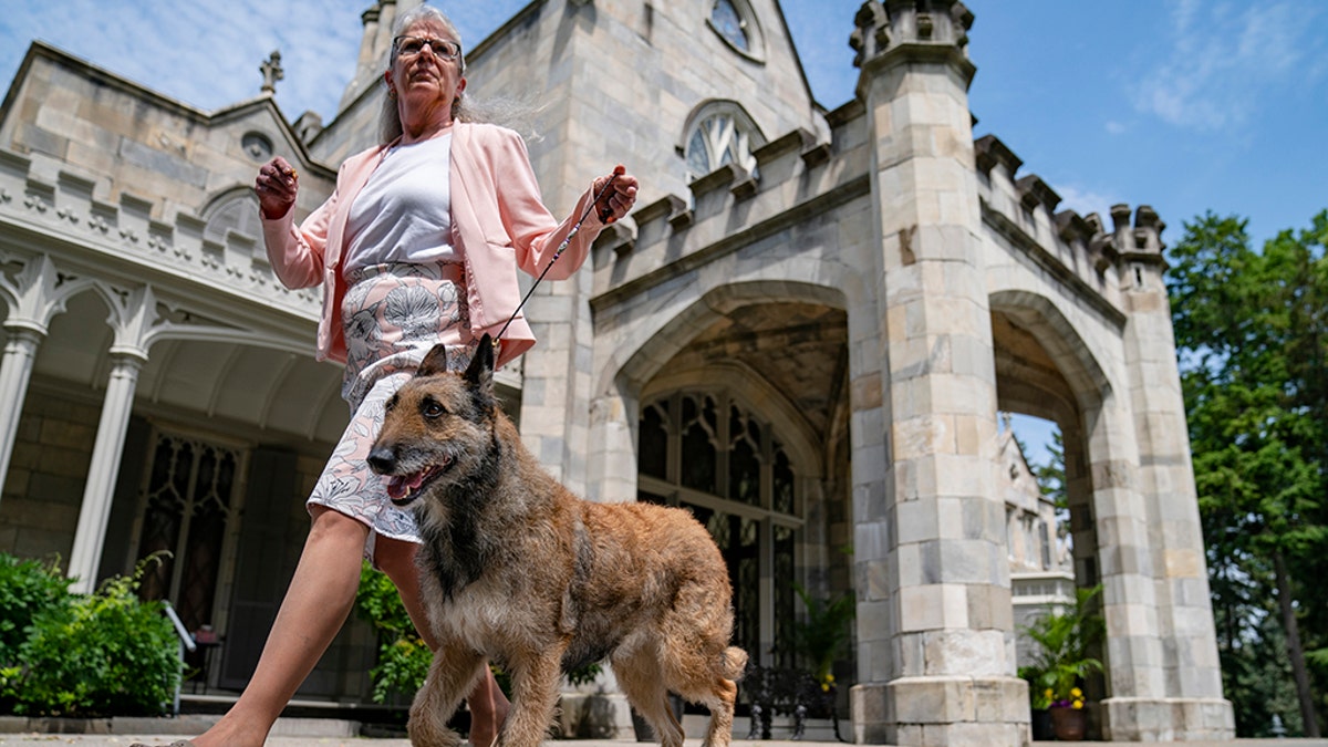 A Belgian laekenois is presented for journalists during a news conference at the Lyndhurst Estate where the 145th Annual Westminster Kennel Club Dog Show will be held outdoors. (AP Photo/John Minchillo)