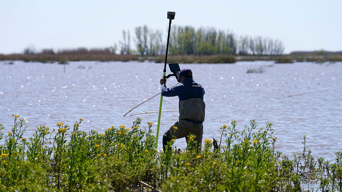 Andre Rabay, research scientist for the LSU Department of Oceanography and Coastal Science uses a real time kinetic (RTK) GPS to take measurements on Mike Island, part of the Wax Lake Delta in the Atchafalaya Basin, in St. Mary Parish, La., Friday, April 2, 2021. NASA is using high-tech airborne systems along with boats and mud-slogging work on islands for a $15 million study of these two parts of Louisiana's river delta system. (AP Photo/Gerald Herbert)