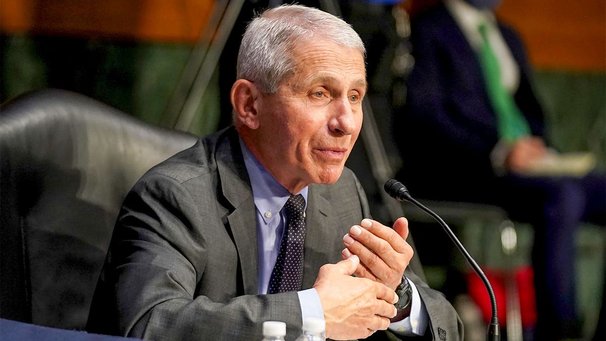 Anthony Fauci testifies in Washington, D.C.