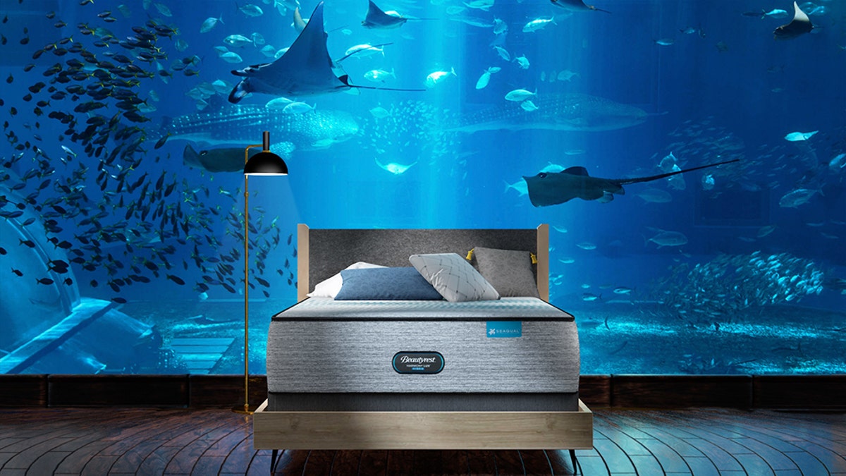 Mattress brand Beautyrest is giving someone the chance to spend the night at the Long Island Aquarium to promote its new Harmony Lux Hybrid mattress. (Beautyrest)