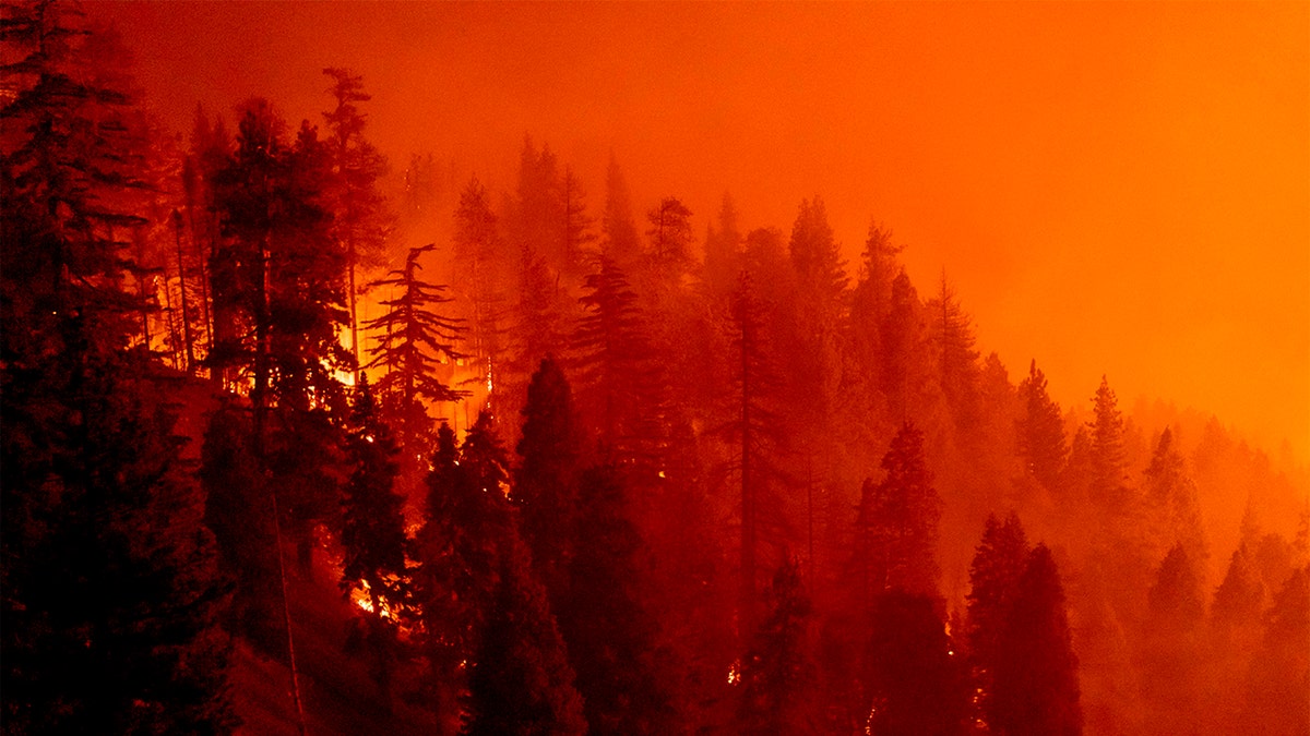 The Bobcat Fire continues to burn through the Angeles National Forest in Los Angeles County, north of Azusa, California, September 17, 2020. (Photo by Kyle Grillot / AFP) (Photo by KYLE GRILLOT/AFP via Getty Images)