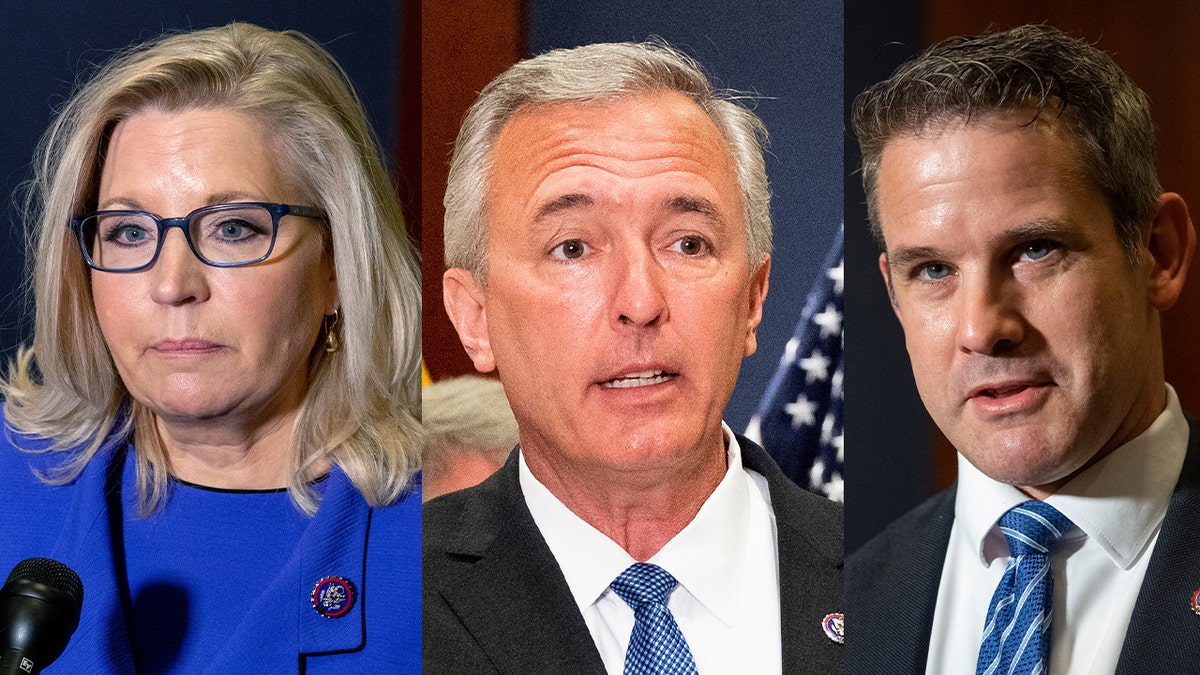 Liz Cheney, John Katko, Adam Kinzinger