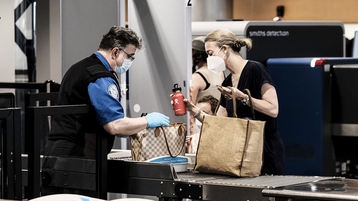 Travelers At Detroit Metro Airport As TSA Experiences Staff Shortages