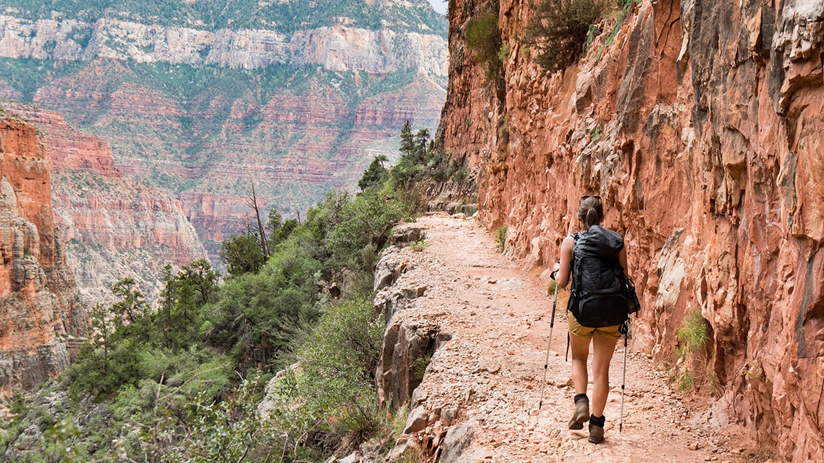 Grand Canyon hiker