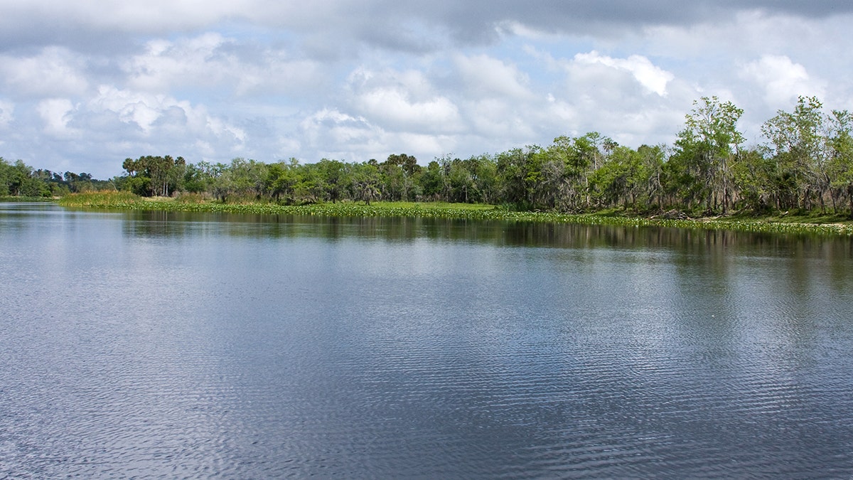 The environmentally sensitive St Johns River flows northward from Indian River County near the east coast of Florida, through Central Florida and eventually to Jacksonville. (iStock)