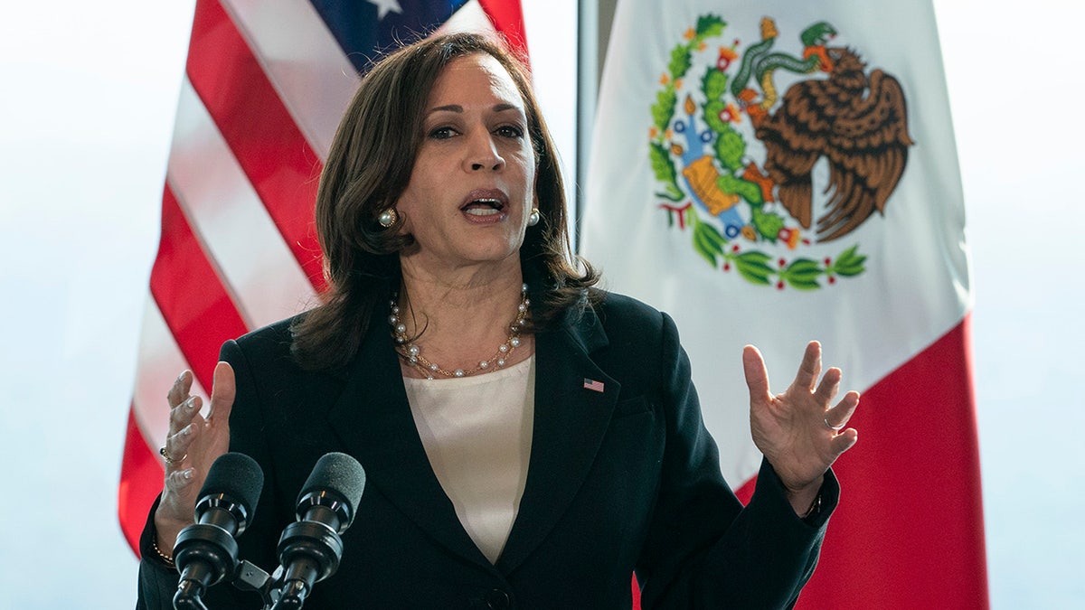 June 8, 2021: Vice President Kamala Harris speaks to the media at the Sofitel Mexico City Reforma in Mexico City. (AP Photo/Jacquelyn Martin)