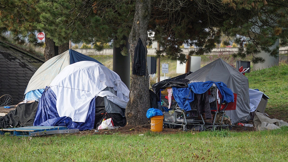 Portland Homeless Drug Encampment