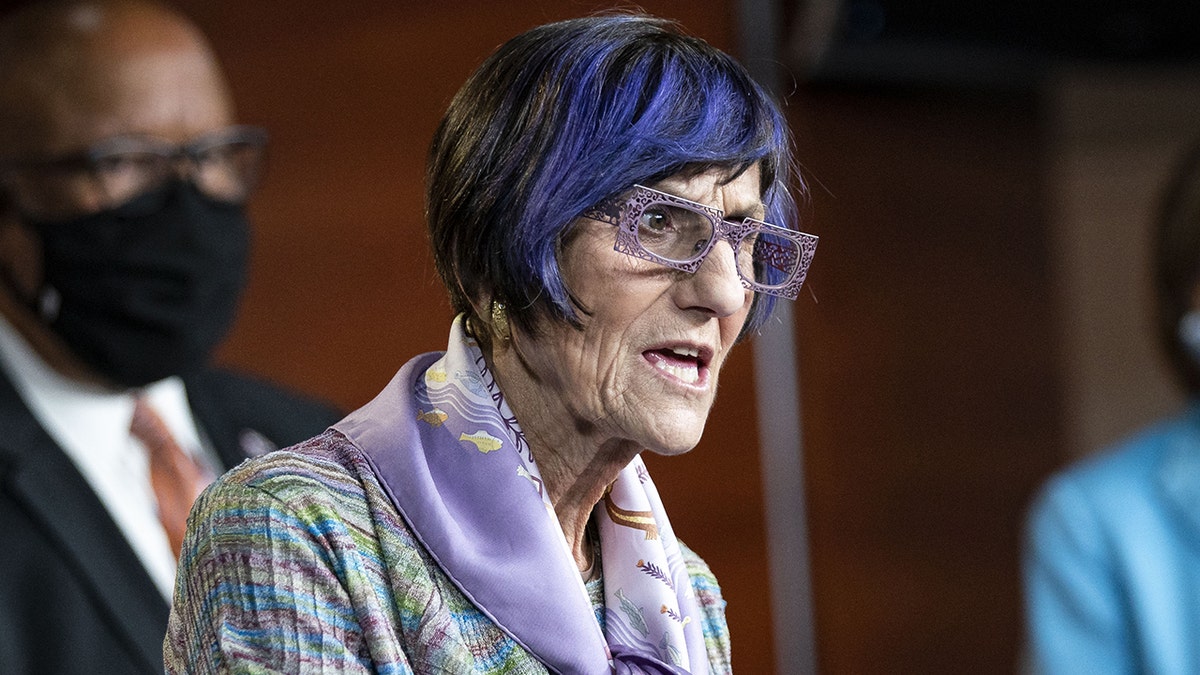 Connecticut Congresswoman Rosa DeLauro