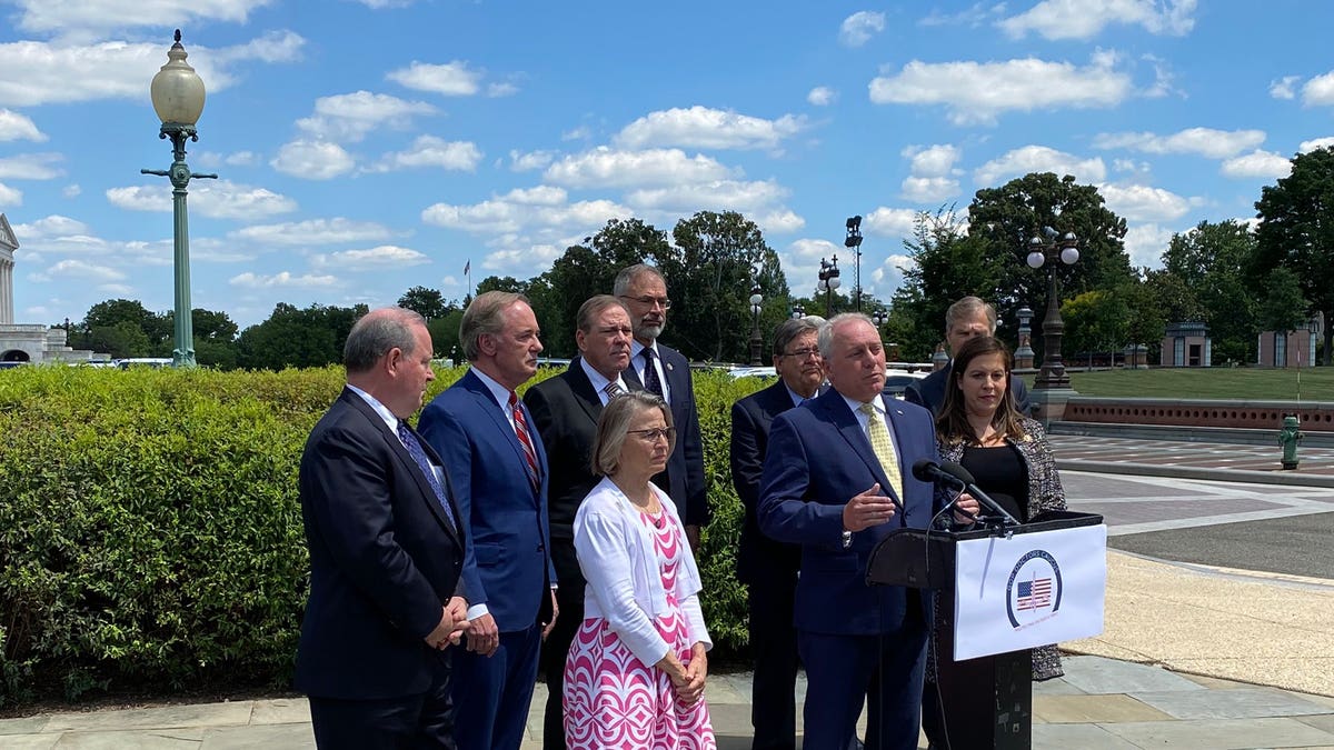 Reps. Steve Scalise, R-La., Elise Stefanik, R-N.Y., and members of the GOP Doctors Caucus speak about the origin of the coronavirus Tuesday, June 24, 2021 at the House Triangle on Capitol Hill in Washington, D.C. "China lied and Americans died," Stefanik said. (Tyler Olson/Fox News)