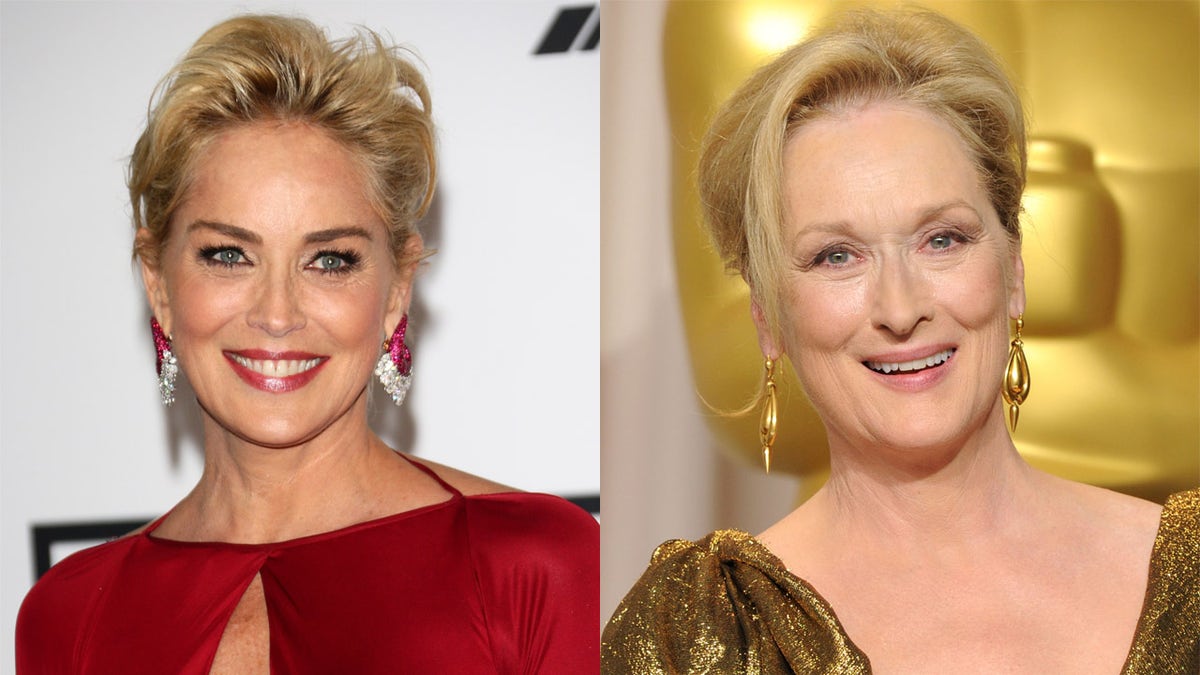 Sharon Stone said that there are other actresses ‘equally as talented’ as screen legend Meryl Streep.