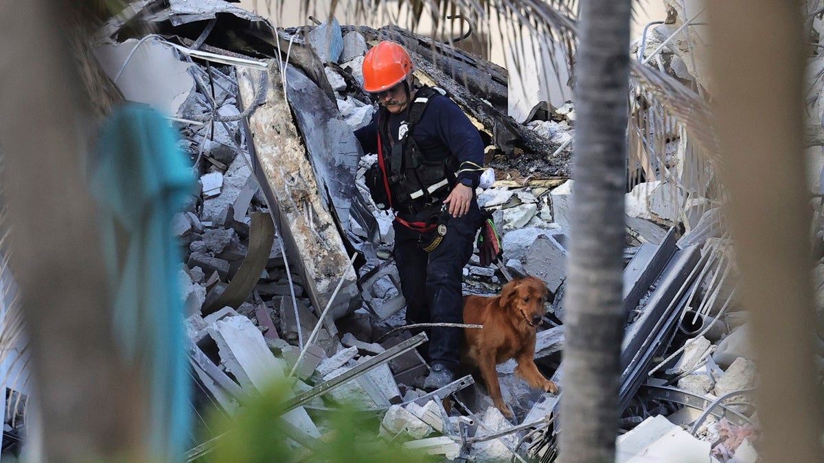 Fire rescue personnel conduct a search and rescue with dogs at Champlain Towers South on Thursday. (AP/Miami Herald)