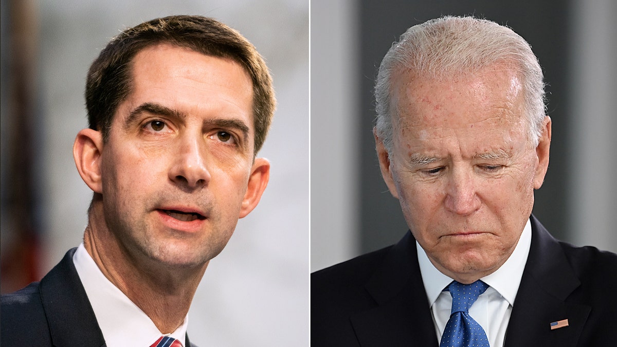 Side by side image of Cotton and Biden