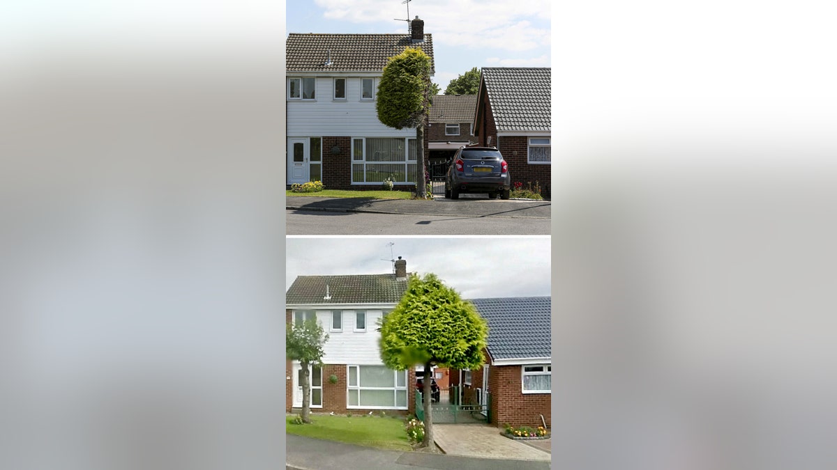Bharat Mistry told SWNS that he tried to make an arrangement with his neighbors, who were complaining about bird poop on their driveway. However, the neighbors called an arborist to cut down the branches over their driveway.