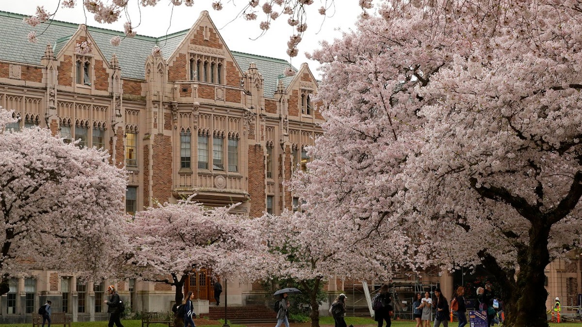 FILE - In this April 3, 2019, file photo, students walk between classes on the University of Washington campus in Seattle. (AP Photo/Ted S. Warren, File)
